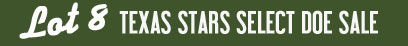 Lot 8 Texas Stars Select Doe Sale