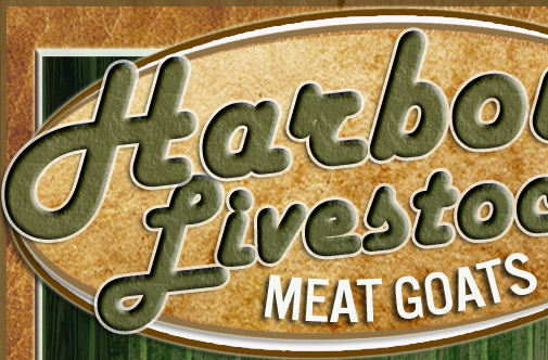 Harbour Livestock