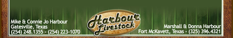 Harbour Livestock
