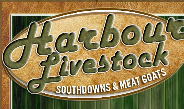 Harbour Livestock