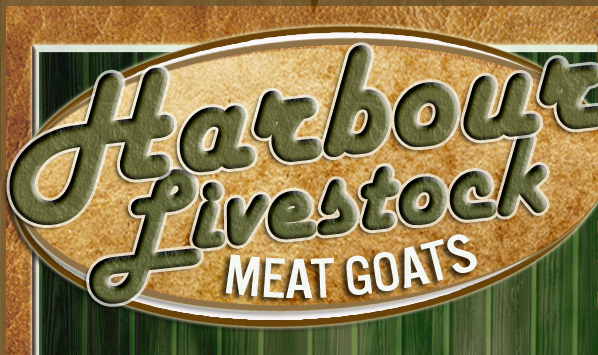 Harbour Livestock