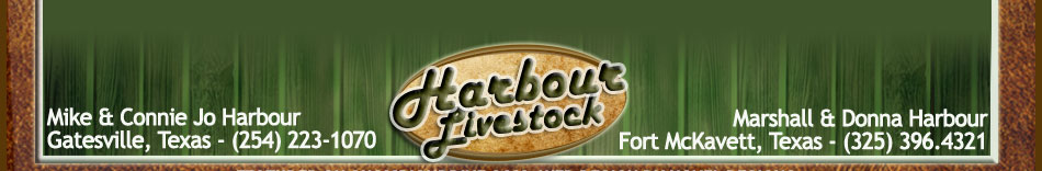 Harbour Livestock
