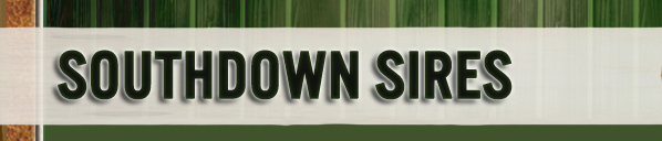 Southdown Sires