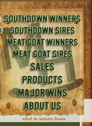 Harbour Livestock